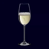 Nachtmann Vivno 4-pc. Champagne Flute