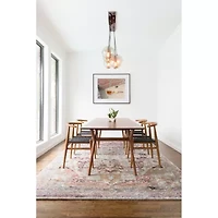 Loloi Anastasia Indoor Rectangular Accent Rug
