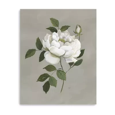 Lumaprints Botanical Rose Giclee Canvas Art