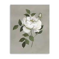 Lumaprints Botanical Rose Giclee Canvas Art