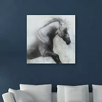 Lumaprints Misted Shadows Giclee Canvas Art