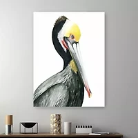 Lumaprints Watercolor Pelican I Giclee Canvas Art