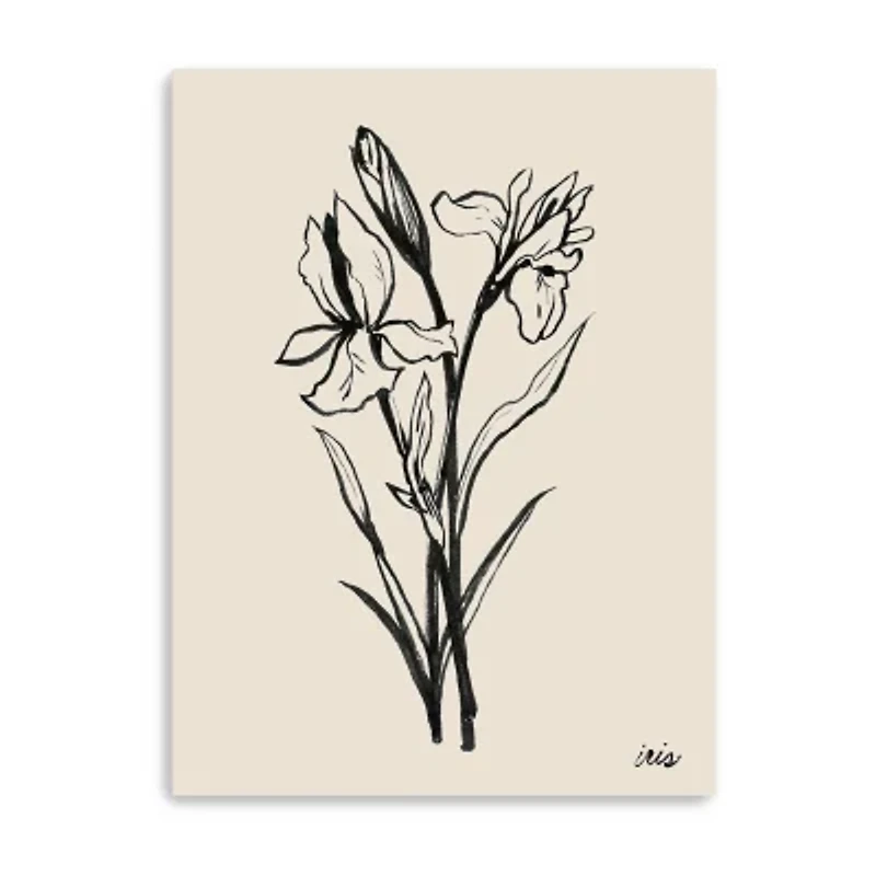 Lumaprints Iris Sketch I Giclee Canvas Art