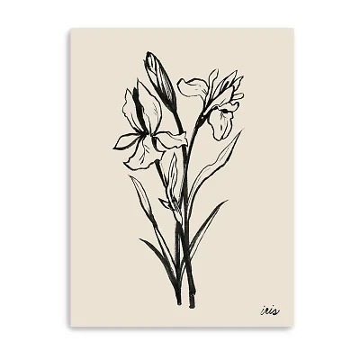 Lumaprints Iris Sketch I Giclee Canvas Art