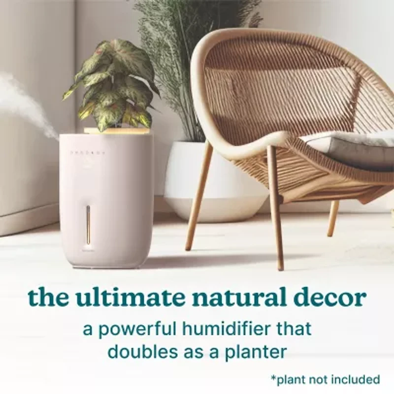 HoMedics Top-Fill Warm + Cool With Planter Humidifier