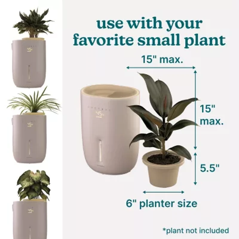 HoMedics Top-Fill Warm + Cool With Planter Humidifier