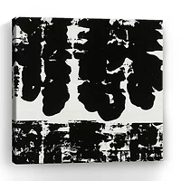 Lumaprints Shadow Velocity Ii Giclee Canvas Art