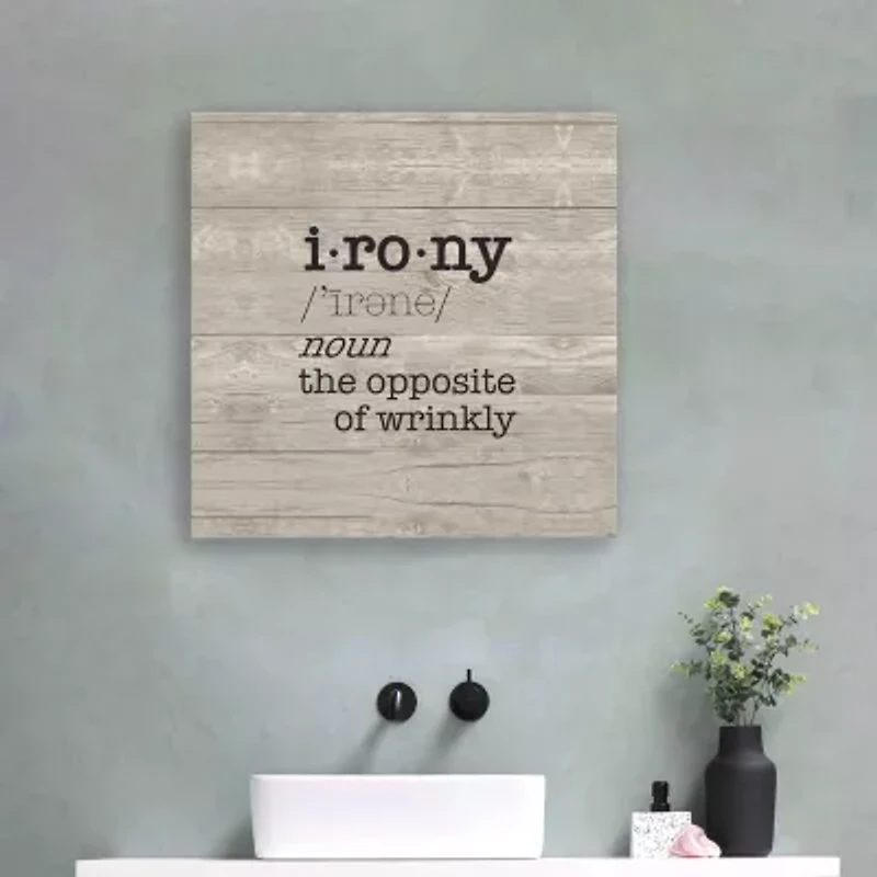 Lumaprints Laundry Room Humor I-Irony Giclee Canvas Art