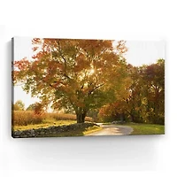 Lumaprints Maple Tree Drive Giclee Canvas Art