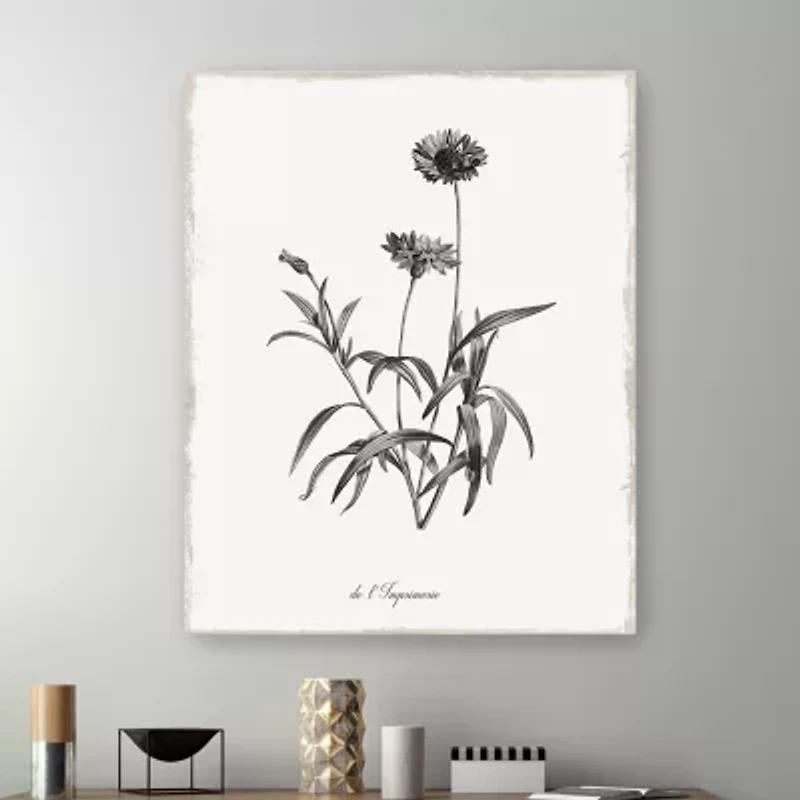 Lumaprints Simply Imperial Giclee Canvas Art