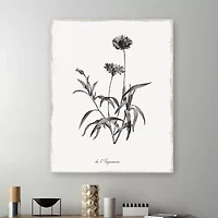Lumaprints Simply Imperial Giclee Canvas Art