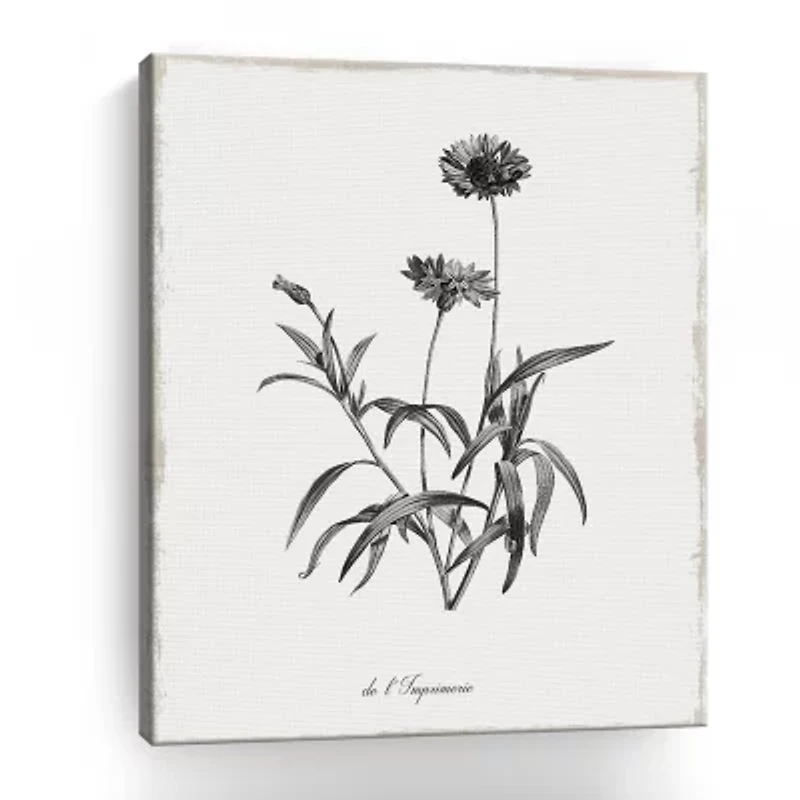 Lumaprints Simply Imperial Giclee Canvas Art
