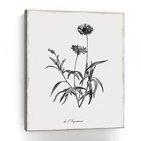 Lumaprints Simply Imperial Giclee Canvas Art