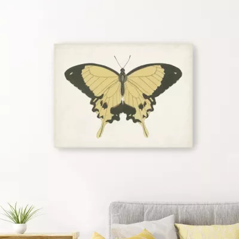 Lumaprints Beautiful Butterfly I Giclee Canvas Art