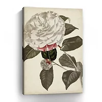 Lumaprints Silvery Botanicals I Giclee Canvas Art