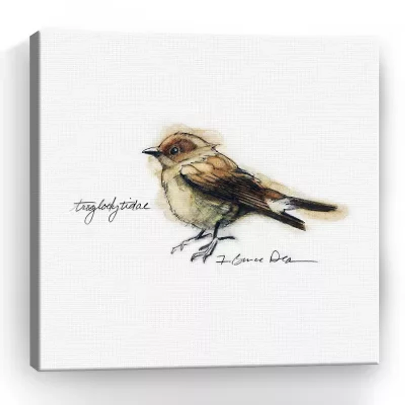 Lumaprints Songbird Study I Giclee Canvas Art