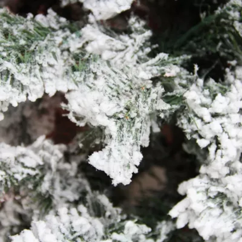 Northlight Flocked Unlit 7 1/2 Foot Pine Christmas Tree