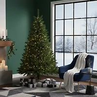 Northlight Full Canadian Pine  Unlit 6 Foot Pine Christmas Tree