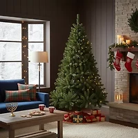 Northlight Canadian Pine Unlit 7 Foot Pine Christmas Tree