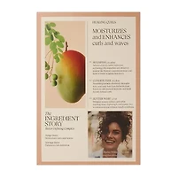 L'ANZA Healing Curls Holiday Trio Box 3-pc. Value Set