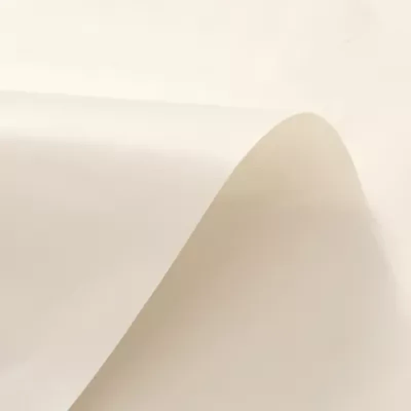 Awesome Home™ Premium Peva PEVA. Shower Curtain Liner