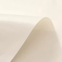 Awesome Home™ Premium Peva PEVA. Shower Curtain Liner