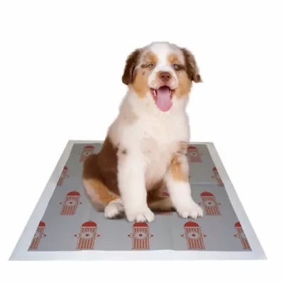 The Pet Life 55 Grams Ultra Absorbent Charcoal Odor Eliminating Anti-Skid and Anti-Bacterial Diabetic Premium Dog Training Pads