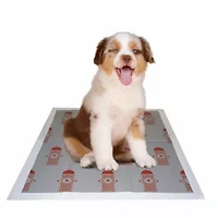 The Pet Life 55 Grams Ultra Absorbent Charcoal Odor Eliminating Anti-Skid and Anti-Bacterial Diabetic Premium Dog Training Pads