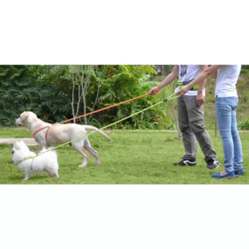 The Pet Life Reflective Stitched Easy Tension Adjustable 2-in-1 Dog Leash and Harness