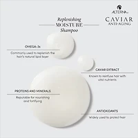 ALTERNA Caviar Replenishing Moisture Shampoo oz