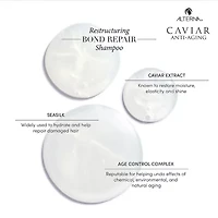 ALTERNA Caviar Restructuring Bond Repair Shampoo 16.5 oz.