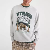 AEROPOSTALE Mens Crew Neck Long Sleeve Sweatshirt