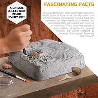 Discovery™ #Mindblown Colossal Fossil Dig Set