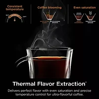 Ninja Hot & Iced Xl Drip Coffee Maker