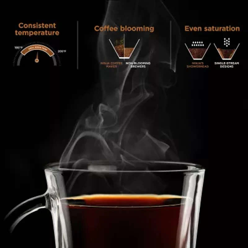 Ninja Hot & Iced Xl Drip Coffee Maker