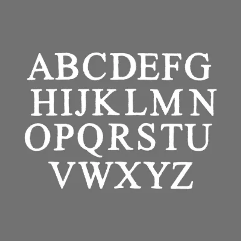 Linum Home Textiles Womens Personalized Quick Dry Bath Wrap