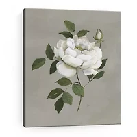 Lumaprints Botanical Rose Giclee Canvas Art
