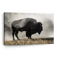 Lumaprints Geyser Basin Giclee Canvas Art