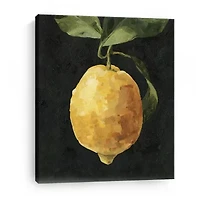 Lumaprints Dark Lemon I Giclee Canvas Art