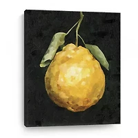Lumaprints Dark Lemon Ii Giclee Canvas Art