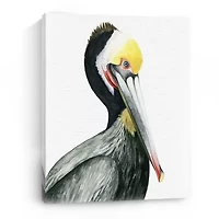 Lumaprints Watercolor Pelican I Giclee Canvas Art