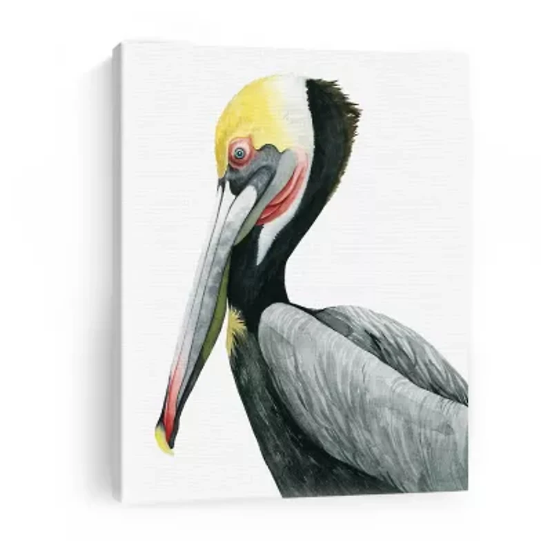 Lumaprints Watercolor Pelican Ii Giclee Canvas Art