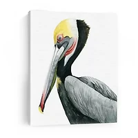 Lumaprints Watercolor Pelican Ii Giclee Canvas Art