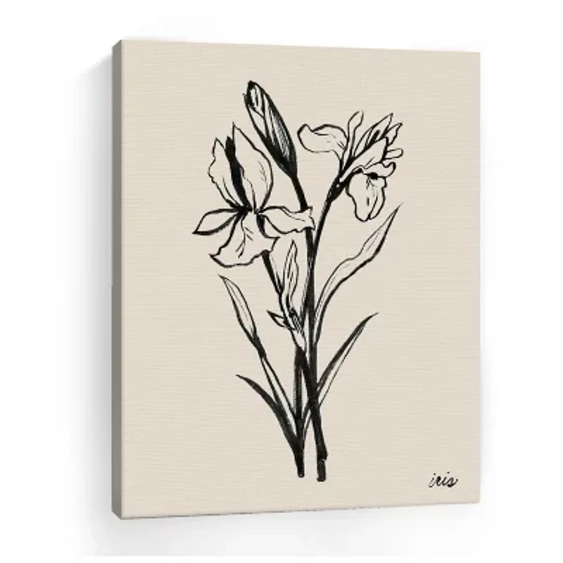 Lumaprints Iris Sketch I Giclee Canvas Art
