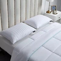 Beautyrest 500tc Damask Cotton 2-Pack Medium Density Bed Pillow