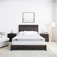 JCP Exclusive! Fieldcrest Natural Indulgence 13" Plush Euro Top - Mattress + Box Spring