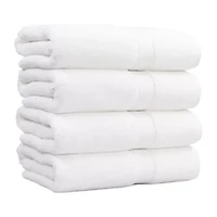 Linum Home Turkish Cotton Textiles Terry 40" x 60" Bath Sheet