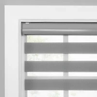 Eclipse Zebra Cordless Light-Filtering Roller Shade