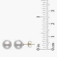 White Cultured Freshwater Pearl 10K Gold Stud Earrings
