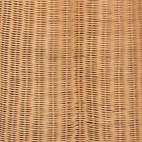 Palm Rattan End Table